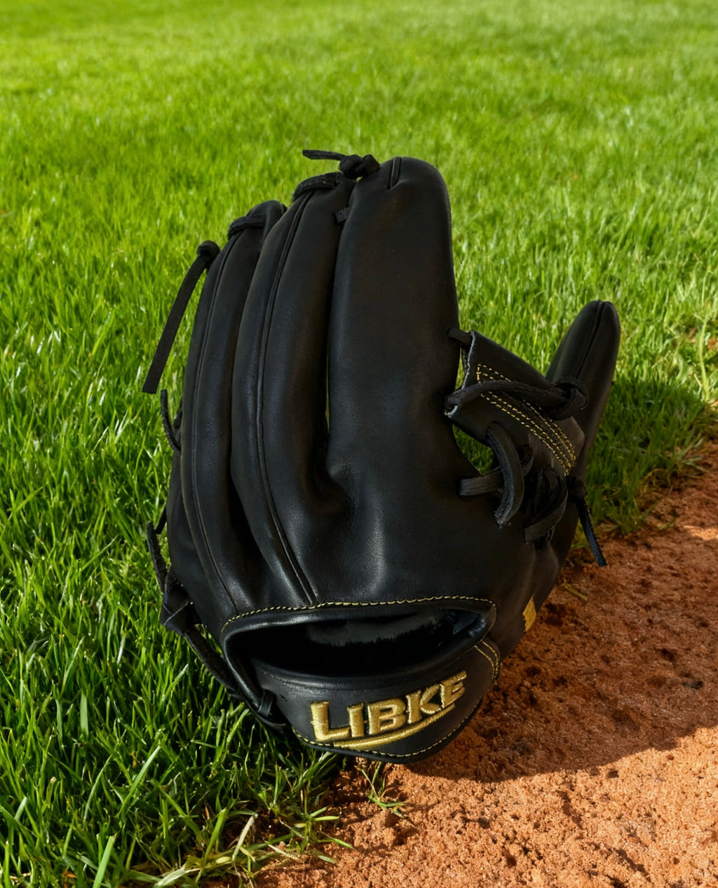 Libke Pro Elite Pocket Glove
